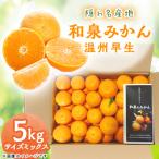 ふるさと納税 和泉市 隠れ名産地 和泉みかん温州早生(小玉中玉大玉サイズミックス) 5kg