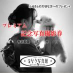 撮影10 000円チケット