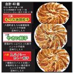 八雲やさい餃子 10個×2箱