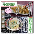 お酒によく合う 八雲やさい餃子 10個入×2箱