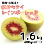 ふるさと納税 牧之原市 【先行受付】糖度18度!希少品種　極甘キウイ　レインボーレッド　400g×4パック