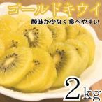 ふるさと納税 牧之原市 【先行受付】【新品種】国産ゴールドキウイ!東京ゴールド　2kg