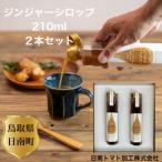ジンジャーシロップ 2本