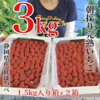 ふるさと納税 牧之原市 いちご紅ほっぺ朝摘み3kgセット