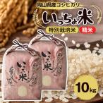 ふるさと納税 美作市 コシヒカリ　いっちょ米(5kg×2袋)