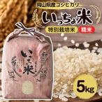 ふるさと納税 美作市 コシヒカリ　いっちょ米(5kg×1袋)