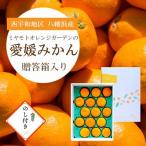八幡浜産 愛媛みかん 15個入り