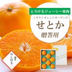 とろける濃厚柑橘 せとかのし付き ボックス入り