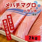 メバチマグロハランボ 2kg