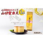 山口蜂蜜カステーラ 山口蜜カス ×1本 BTBN013