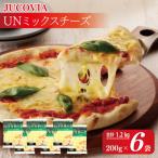 ふるさと納税 泉佐野市 JUCOVIA UNミックスチーズ 1.2kg 小分け 200g×6P 010B1638