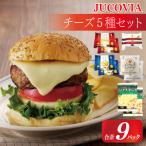 ふるさと納税 泉佐野市 JUCOVIA 大満足 チーズ5種 食べ比べ 9Pセット ムラカワチーズ 010B1641