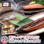 煮魚 焼魚 4種8切+うなぎ蒲焼1尾 セット