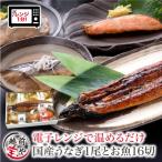 煮魚 焼魚 4種16切+うなぎ蒲焼1尾 セット