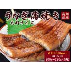 産うなぎの蒲焼き 5尾セット