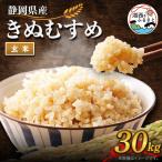ふるさと納税 湖西市 【2025年10月発送】きぬむすめ 玄米 30kg