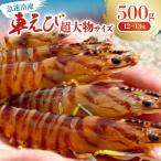 fu.... налог .. сиденье .[.. место из прямая поставка ] внезапный скорость рефрижератор .. супер большой предмет размер 500g(12~13 хвост /500g×1P)