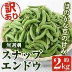 ふるさと納税 阿久根市 先行予約! 訳あり!鹿児島県産 スナップエンドウ (約2kg)  【松永青果】akn053-07