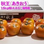 福岡産ブランド柿 秋王 約1.5kg