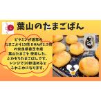 葉山卵のたまごぱん 15個入り