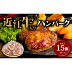 ふるさと納税 竜王町 近江小判ハンバーグ 75g×15個 計1,125g E510