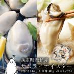 坂越産 むき身 500g×3 殻付き 44個 サムライオイスター 生食用 ※牡蠣ナイフセット無し