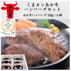 くまモンあか牛ハンバーグセット あか牛ハンバーグ120g×6個