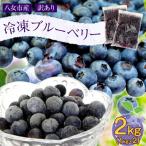 ふるさと納税 八女市 【訳あり】国産冷凍ブルーベリー(2kg[1kg×2袋])八女市産