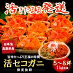 fu.... налог . голова блок [ новый предмет .. длина ]....seikogani. сырой . примерно 1kg 5~8 листов сосна лист gani. женский Tottori префектура 