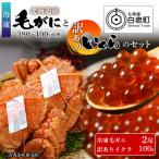 ふるさと納税 白老町 冷凍毛ガニ2尾(390g〜400g前後)・訳ありイクラ100gセット 冷凍発送