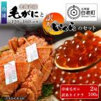 ふるさと納税 白老町 冷凍毛ガニ2尾(420g〜460g前後)・訳ありイクラ100gセット 冷凍発送