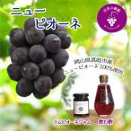 岡山 花笑み農園のニューピオーネ&amp;ラムピオーネジャム&…