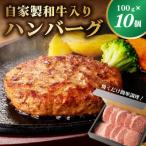 ふるさと納税 那須塩原市 自家製和牛入りハンバーグ 100g×10個