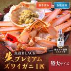 急速冷凍 生プレミアムズワイガニ魚政BLACK特大サイズ 1杯