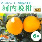 ふるさと納税 松山市 