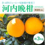 ふるさと納税 松山市 �