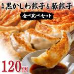 ふるさと納税 山陽小野田市 長州黒かしわ餃子&豚餃子 食べ比べセット 120個入り