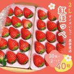 静岡いちご 紅ほっぺ 2Lサイズ40粒 20粒×2トレイ