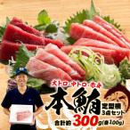 本鮪大とろ 中とろ 赤身セット 各100g