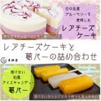 日の出産ブルーベリーを使用したレアチーズケーキと溶けな…