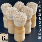 fu.... налог большой дерево блок .. ...... body . комплект BF03