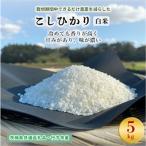 令和8年産新米 栽培期間中できるだけ農薬を減らした