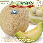 アローマメロン 大玉 2玉詰