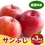 ふるさと納税 中野市 りんごの王様 長野県産 りんご サンふじ 約3kg(7〜11玉程度)