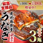 ふるさと納税 東串良町 【緊急支援品】《訳あり・数量限定》鰻の蒲焼き(無頭)(3尾・計約480g) 【アクアおおすみ】