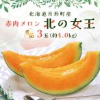 ふるさと納税 月形町 【令和8年7月から順次発送・先行受付】北海道月形町産 赤肉メロン『北の女王』3玉　約4.0kg　秀品
