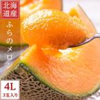 ふるさと納税 富良野市 糖度15度前後 富良野メロン 4Lサイズ(2.5kg以上) 3玉入り