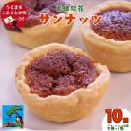 サンナッツ 10個入り