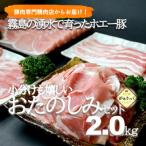 ふるさと納税 小林市 【国産ブランドポーク】霧島ホエー豚スライスと切落しの大満足お楽しみセット 2kg(B021)