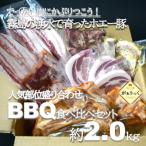ふるさと納税 小林市 【国産ブランドポーク】霧島ホエー豚人気部位盛り合わせBBQ食べ比べセット 約2.0kg(B023)